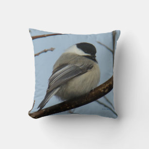 B21 Black Capped Chickadee Cushion