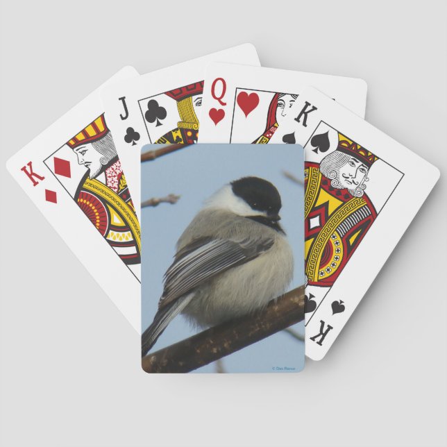 B21 Black-capped Chickadee Playing Cards (Back)