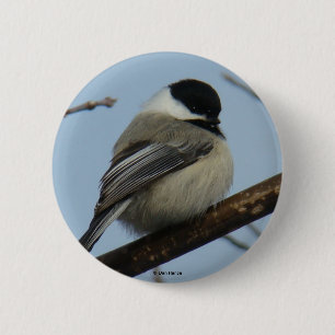 B21 Chickadee 6 Cm Round Badge
