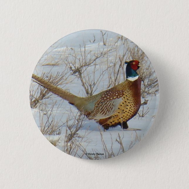 B22 Ring-necked Pheasant 6 Cm Round Badge (Front)