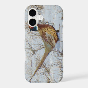 B22 Ring-necked Pheasant in Snow