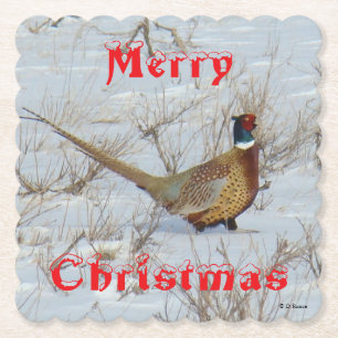 B22 Ring-Necked-Pheasant in Snow Coaster