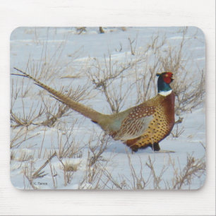 B22 Ring-necked Pheasant in Snow Mouse Pad