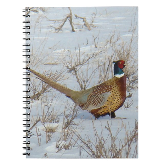 B22 Ring-necked Pheasant in Snow Notebook (Front)