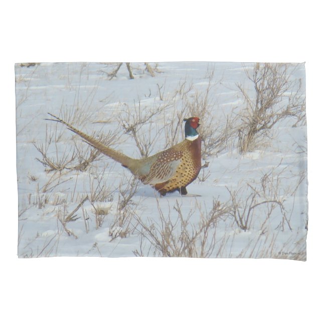 B22 Ring-necked Pheasant in Snow Pillowcase (Front)