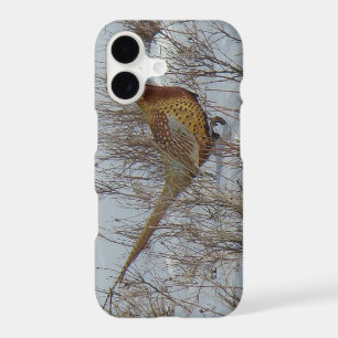 B23 Ring-necked Pheasant in Snow
