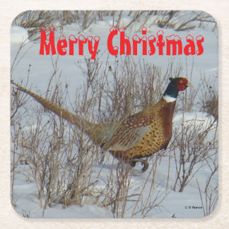 B23 Ring Necked Pheasant in Snow Coaster
