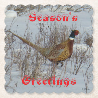 B23 Ring Necked Pheasant in Snow Coaster