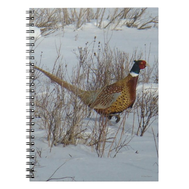 B23 Ring-necked Pheasant in Snow Notebook (Front)