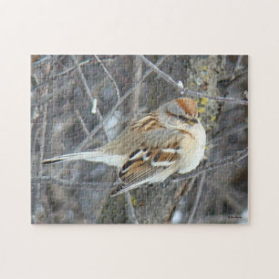 B24 Common Sparrow Jigsaw Puzzle