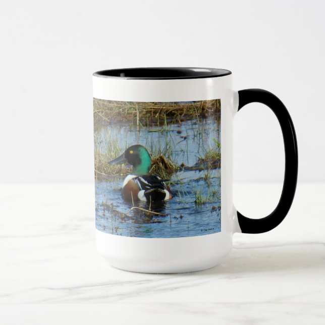 B25 Northern Shoveler Drake Mug (Right)