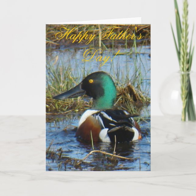 B25 Northern Shoveler Duck Card (Front)