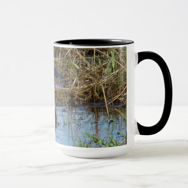 B26 Northern Shoveler Drake Mug (Right)