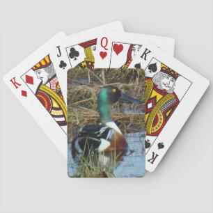 B26 Northern Shoveler Drake Spoonbill Playing Cards