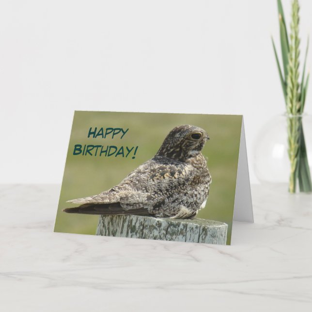 B2 Common Nighthawk Card (Front)