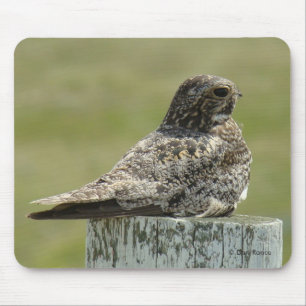 B2 Common Nighthawk Mouse Pad