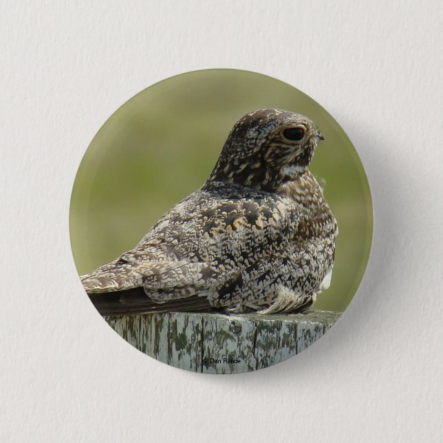 B2 Nighthawk 6 Cm Round Badge (Front)