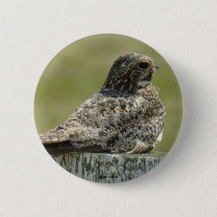 B2 Nighthawk 6 Cm Round Badge