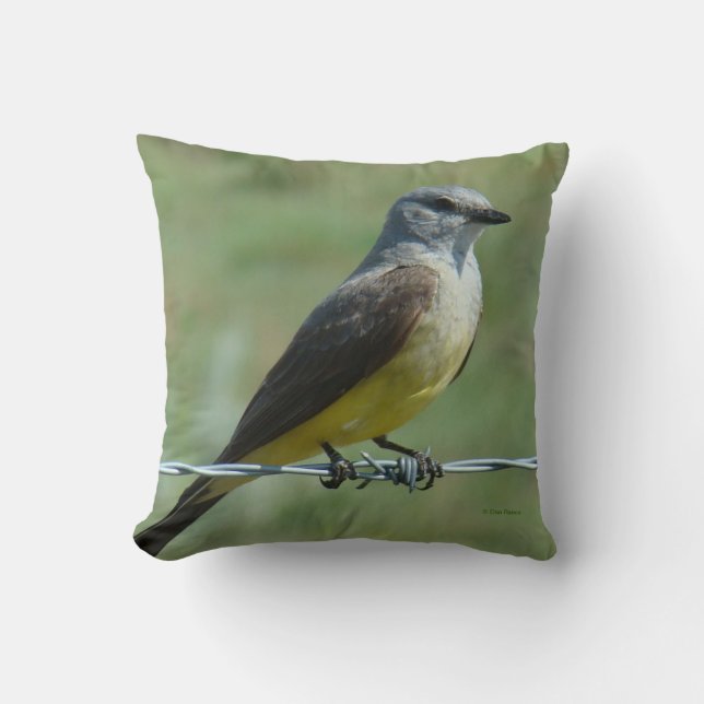 B31 Western Kingbird Cushion (Front)