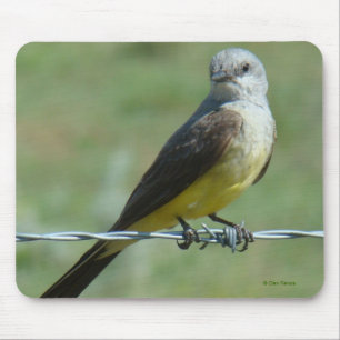 B32 Western Kingbird Mouse Pad