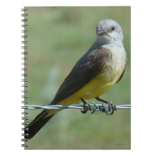 B32 Western Kingbird Notebook