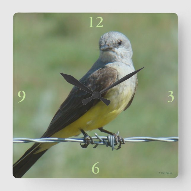 B32 Western Kingbird Square Wall Clock (Front)