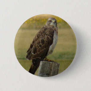 B33 Swainson's Hawk 6 Cm Round Badge