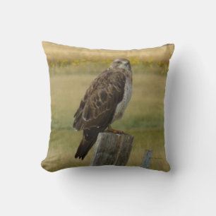 B33 Swainson's Hawk Cushion