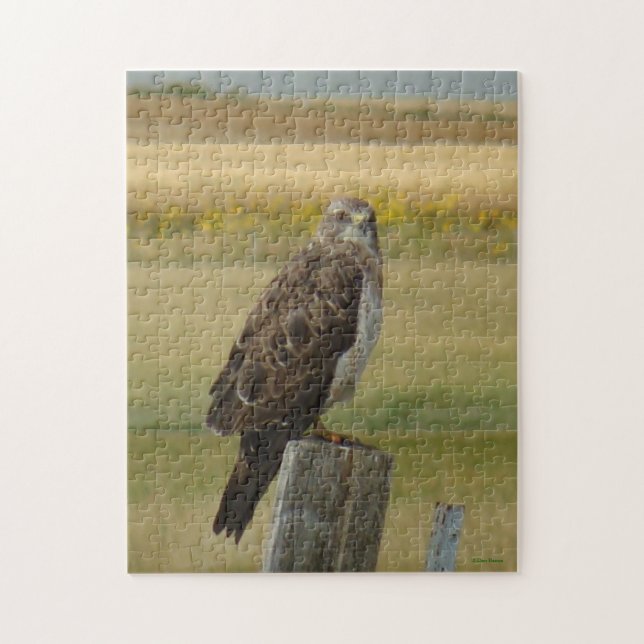 B33 Swainson's Hawk Jigsaw Puzzle (Vertical)