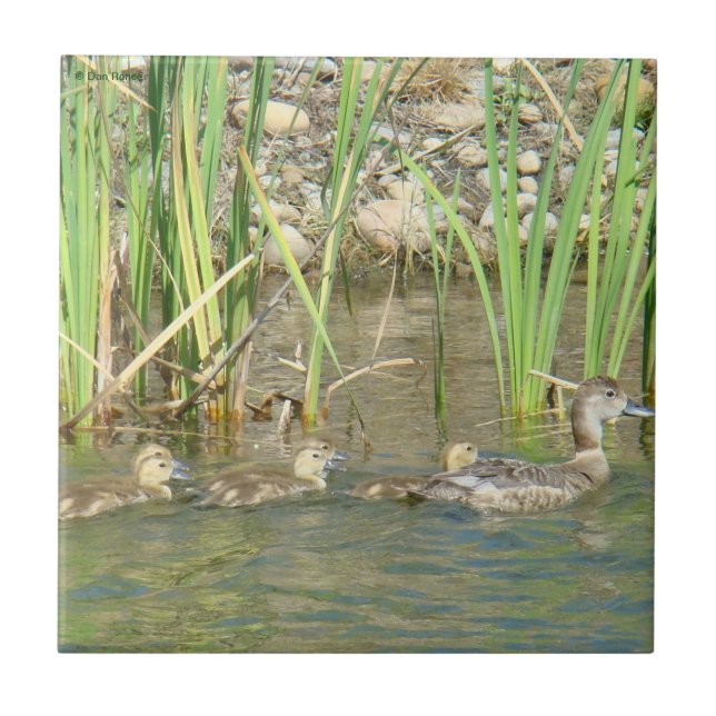 B34 Mother Duck and Ducklings Tile (Front)