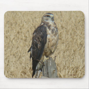 B35 Ferruginous Hawk in Wheat Field Mouse Pad