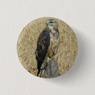 B36 Ferruginous Hawk in Wheat Field 3 Cm Round Badge