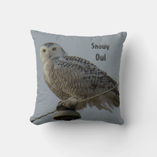 B38 Snowy Owl Cushion