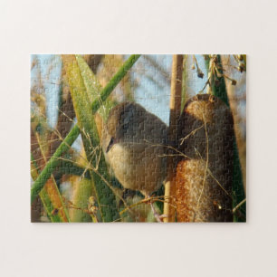 B3 Marsh Wren in Cattails Jigsaw Puzzle