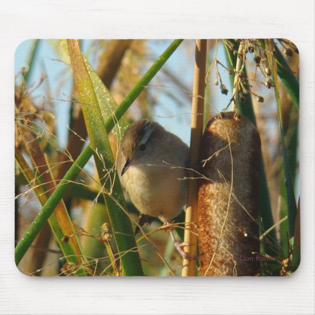 B3 Marsh Wren Mouse Pad (Front)