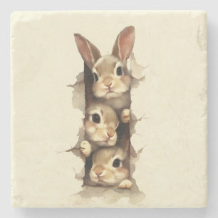 B3 Three Bunnies 3D Illusion Stone Coaster