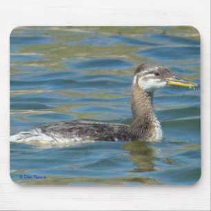B40 Juvenile Red-necked Grebe Mouse Pad