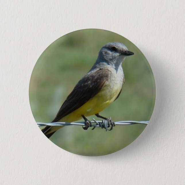 B44 Western Kingbird 6 Cm Round Badge (Front)