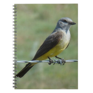 B44 Western Kingbird Notebook