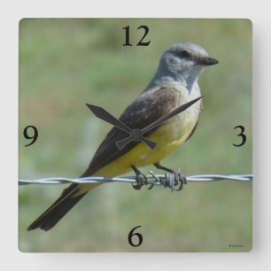 B44 Western Kingbird Square Wall Clock