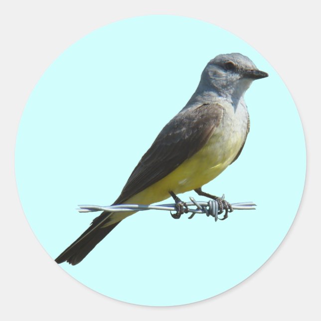 B45 Western Kingbird Classic Round Sticker (Front)
