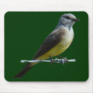 B45 Western Kingbird Mouse Pad