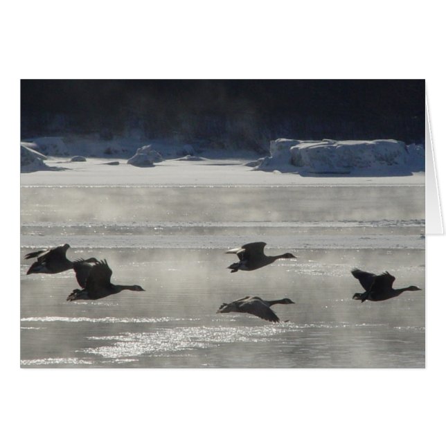 B47 Canadian Geese Over Frozen River (Front Horizontal)
