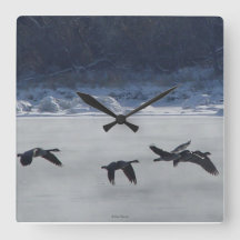 B48 Canadian Geese Over Frozen River