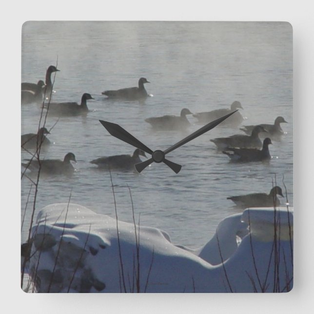 B49 Canadian Geese on Frozen River Square Wall Clock (Front)
