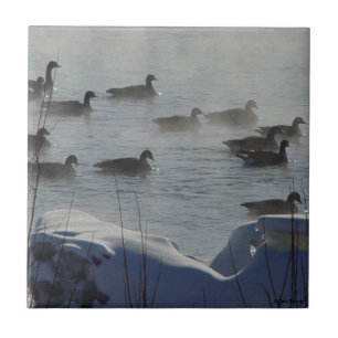 B49 Canadian Geese on Frozen River Tile