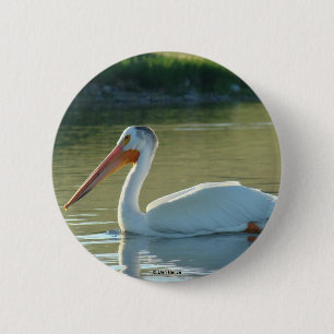 B4 White Pelican 6 Cm Round Badge