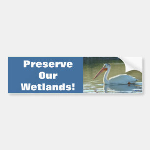B4 White Pelican Bumper Sticker