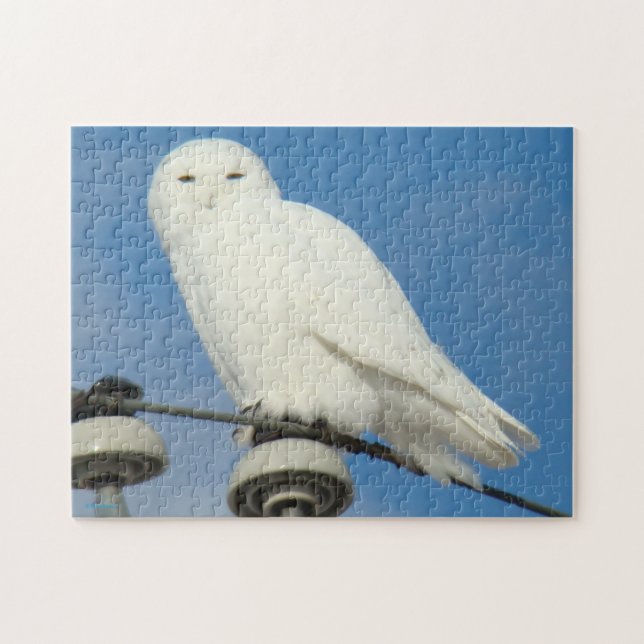 B50 Snowy Owl Jigsaw Puzzle (Horizontal)