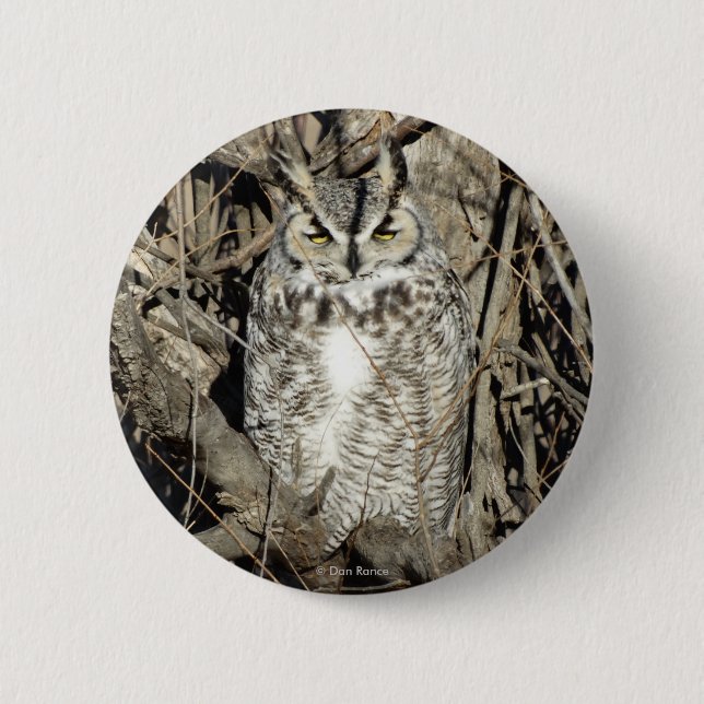 B51 Great Horned Owl 6 Cm Round Badge (Front)